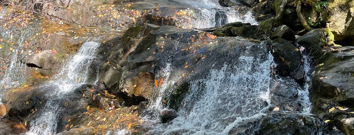 Laurel Falls is one of South.