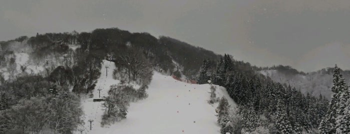 花輪スキー場 is one of 東北の行くべきスキー場.