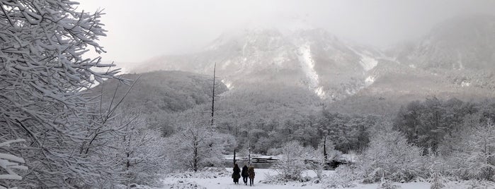 焼岳 is one of 日本百名山.