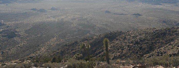 Ryan Mountain Summit is one of Palm Springs.