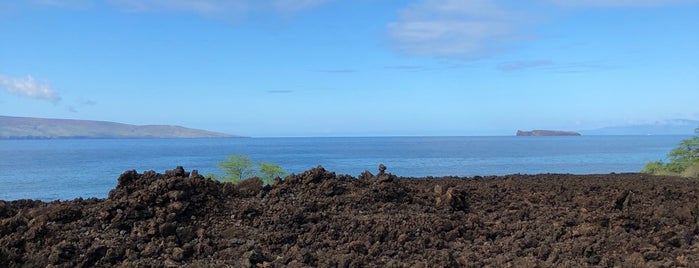 ʻĀhihi-Kīnaʻu Natural Area Reserve is one of Maui Favorites.