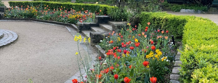 Square René Viviani is one of Parcs, jardins et squares - Paris.