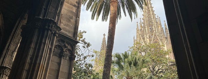 Claustre de la Catedral de Barcelona is one of Barcelona.