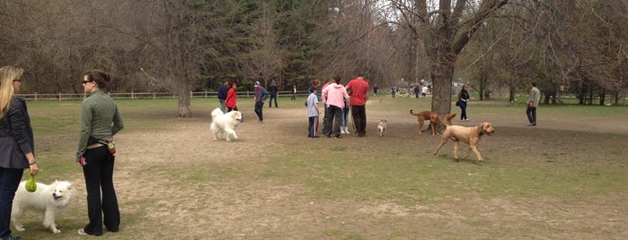 Sunnybrook Dog Park is one of Toronto Off-Leash Dog Parks.