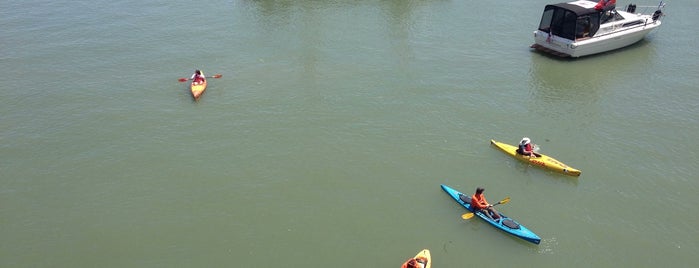 McCovey Cove is one of San Francisco City Guide.