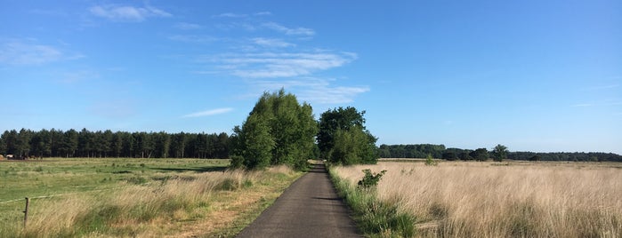 Neerpelt is one of Belgium / Municipalities / Limburg (1).