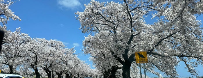 Gangneung is one of ミョンちゃんの素敵^^.