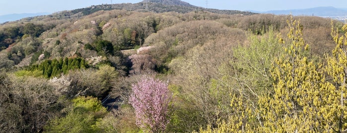 鐘の鳴る展望台 is one of 隠れた絶景スポット.