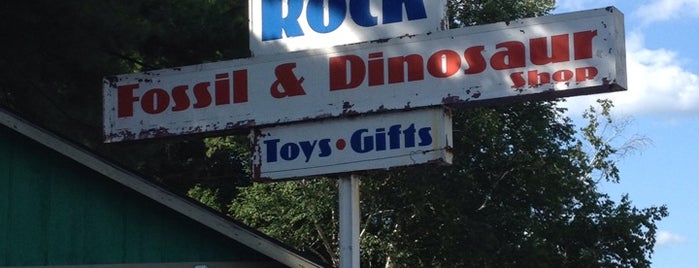 The Rock Fossil And Dinosaur Shop is one of Massachusetts.