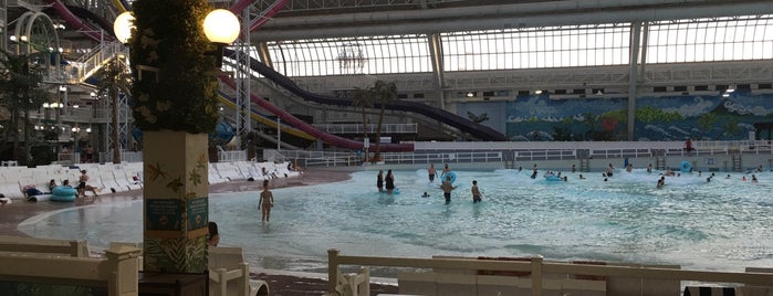 World Waterpark is one of Waterparks.