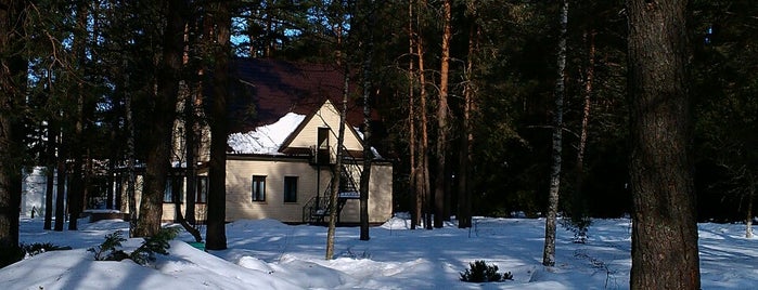 Санаторий "Сосны" is one of Lugares favoritos de Olya.