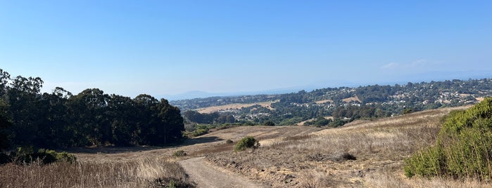 Wildcat Canyon Regional Park is one of East Bay faves.