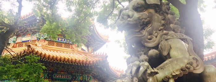 Yonghegong Lama Temple is one of Orte, die CJ gefallen.