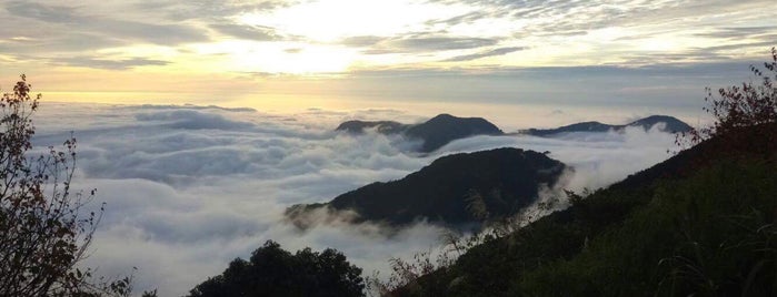 阿里山國家森林遊樂區 Alishan National Forest Recreation Area is one of Tempat yang Disukai CJ.