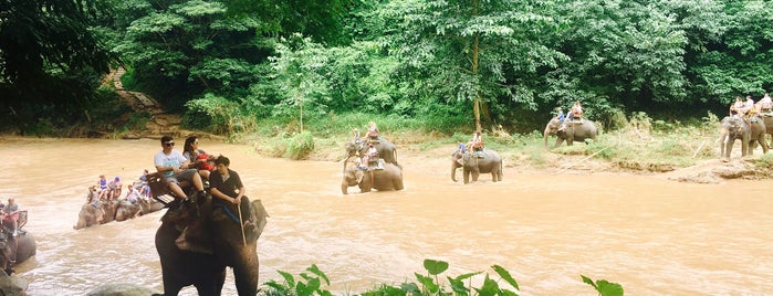 Maetaman Elephant Camp is one of CJ : понравившиеся места.