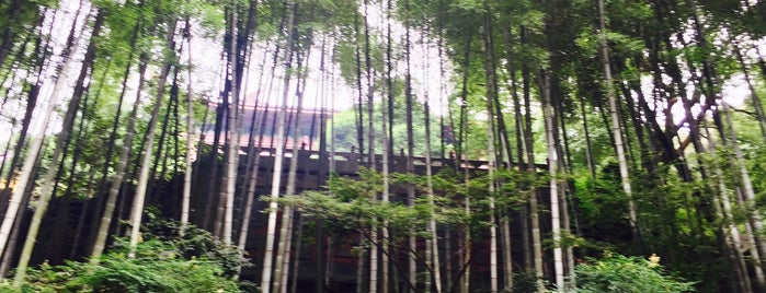 Lingyin Temple is one of สถานที่ที่ CJ ถูกใจ.