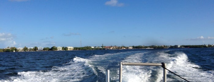 Scuba-Do Dive Company Office is one of Key Largo.