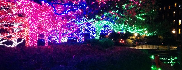 Chesapeake Holiday Lights is one of Christmas Spots.