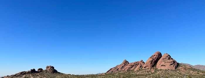 Sonoran Desert Nature Loop Trail is one of Pheonix, Arizona.