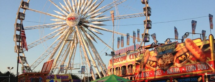 OC Fairgrounds Parking Lot is one of Lugares favoritos de Daniel.