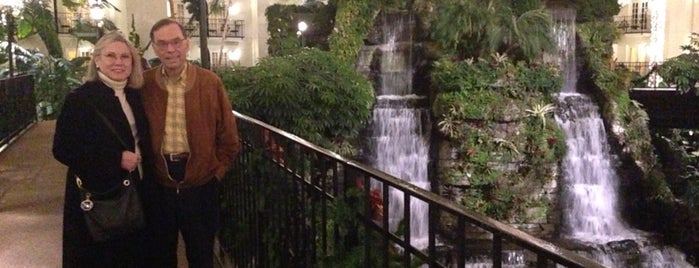 Gaylord Opryland Resort & Convention Center is one of Lieux qui ont plu à Katherine.