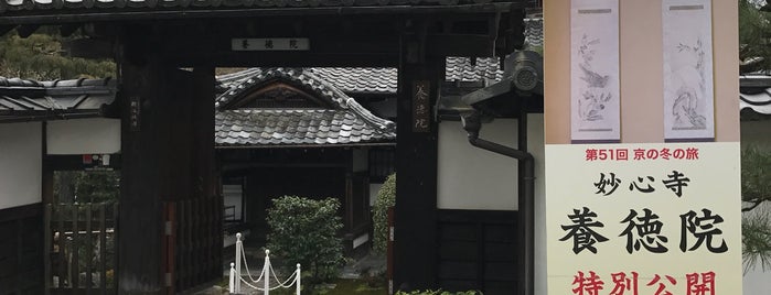 妙心寺 養徳院 is one of 京都に行ったらココに行く！ Vol.12.