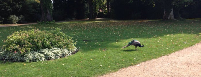 Peacock Island is one of berlin escapeism.