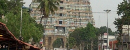 Sri Rangam Temple is one of India Tamil Nadu - Other.