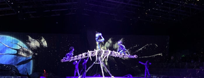 ‫سيرك دوسوليه‬ || Cirque Du Soleil is one of Sara✨'ın Beğendiği Mekanlar.