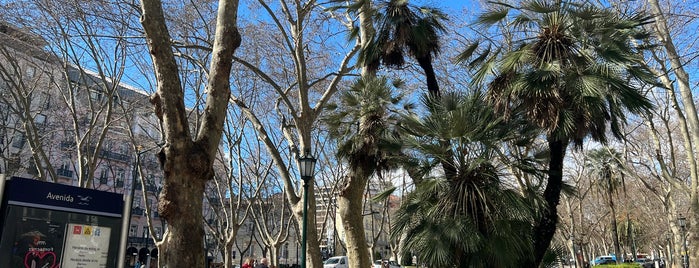 Metro Avenida [AZ] is one of Mauro'nun Beğendiği Mekanlar.