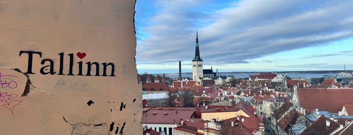 Tallinn 🇪🇪