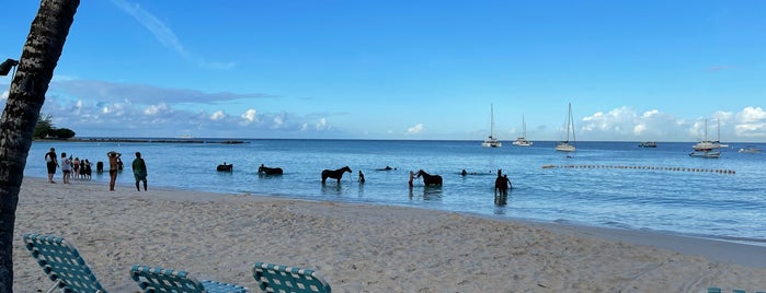 Radisson Aquatica Beach Resort is one of Barbados.