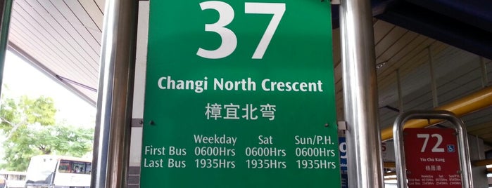SBS Transit Bus