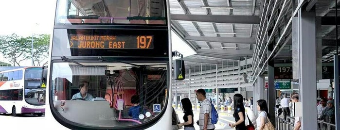 SBS Transit: Bus 197 is one of Regular Check-ins.