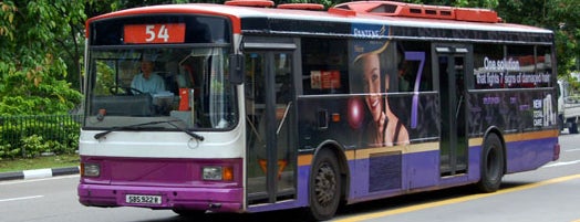 SBS Transit: Bus 54 is one of TPD "The Perfect Day" Bus Routes (#01).