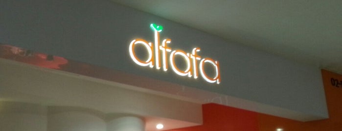 Alfafa is one of TPD "The Perfect Day" Food Hall (3x0).