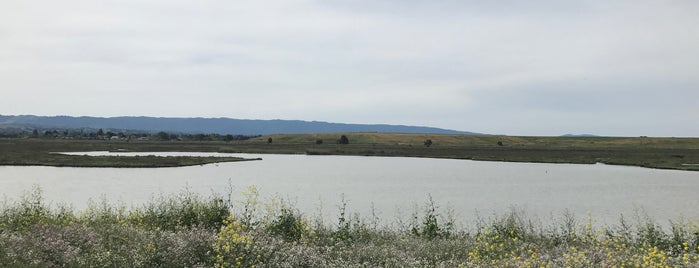 Adobe Creek Trail Loop is one of Orte, die Marcel gefallen.