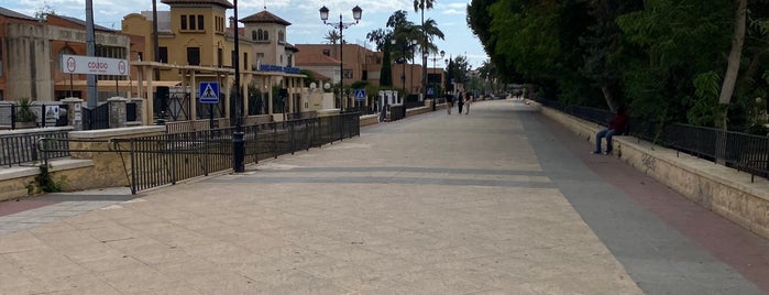 Paseo del Malecón is one of Murcia en GPS.