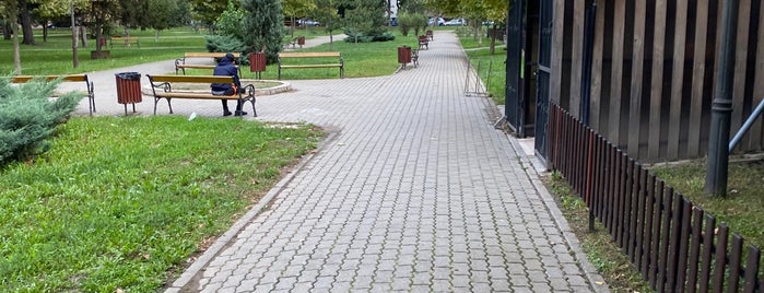 Parcul Carmen Sylva is one of Timisoara plazas and parks.