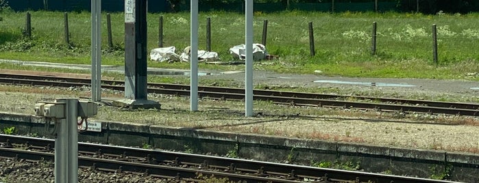 Gare de Jurbise is one of SNCB travel stations.