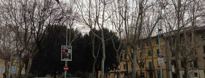 Piazza Giovanni Ciardi is one of Prato.