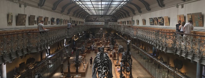 Большая галерея эволюции is one of Jules : понравившиеся места.