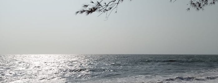 Cherai Beach is one of Kerala.