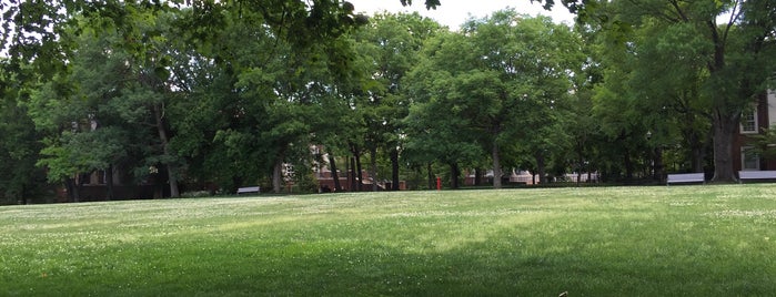 Magnolia Lawn is one of Commencement 2012.