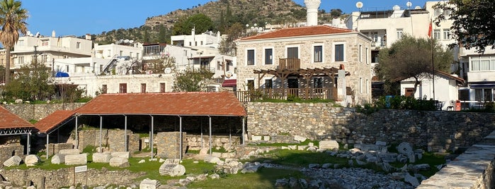 Halikarnas Mozolesi is one of Bodrum Muğla.