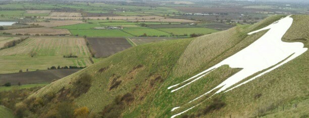Westbury White Horse is one of Ancestry.