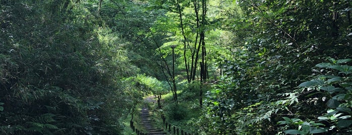 南平丘陵公園 is one of 東京散歩.