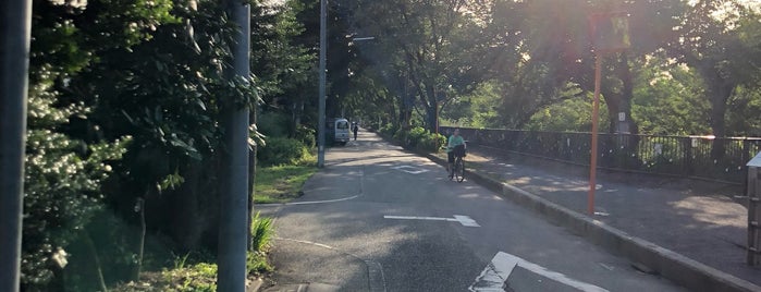 玉川上水 is one of 自転車.