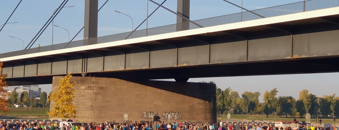 Hundeauslauf Unter Theodor-Heuss-Brücke is one of Where Baron likes to roam.