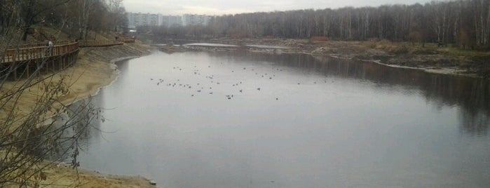 Джамгаровский пруд is one of красивые места для фотосессий.